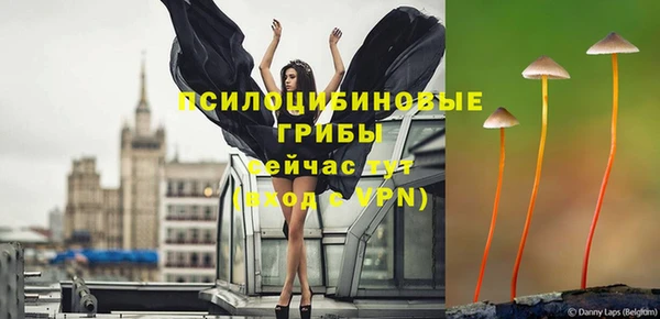 стафф Абаза