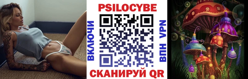 Псилоцибиновые грибы GOLDEN TEACHER Абакан